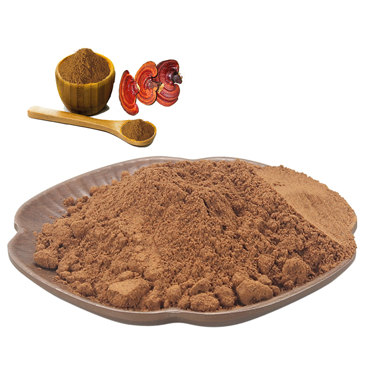 Reishi and Adaptogens: The Ultimate Stress Support